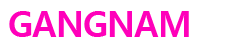 GANGNAM19